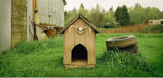 模拟游戏《机器人战车大战》12月31日发售 支持简体中文